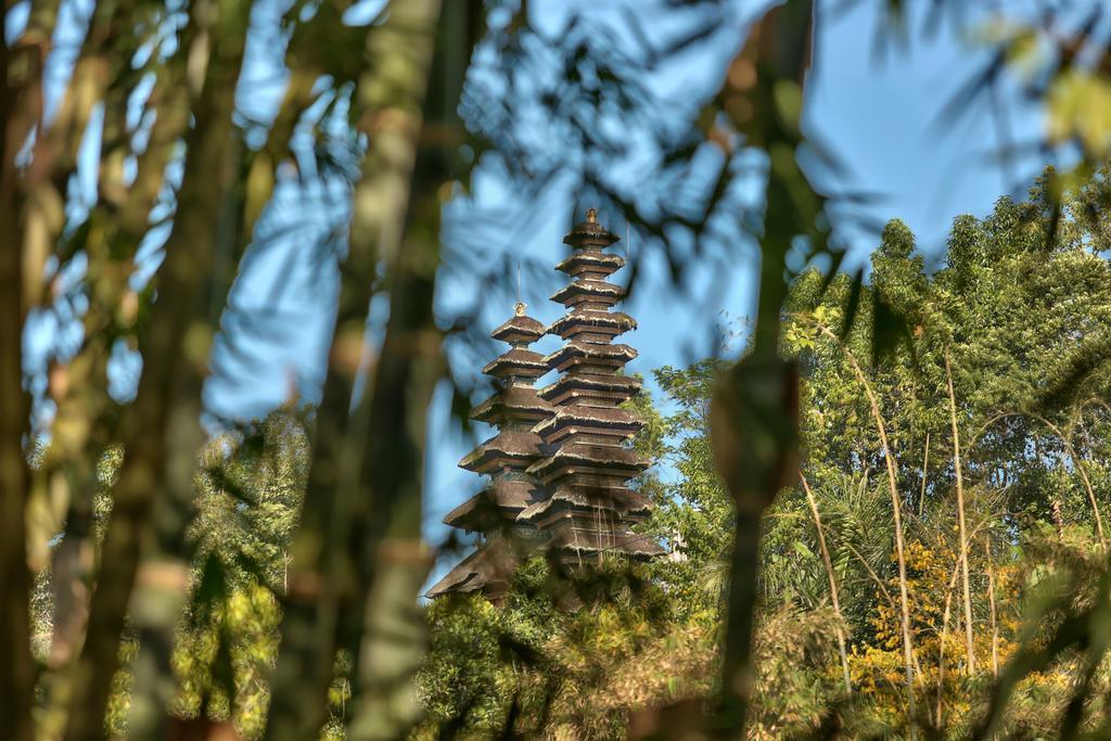 Sang Giri Mountain Tent Resort By Ahm Desa Desa Jatiluwih Exteriör bild