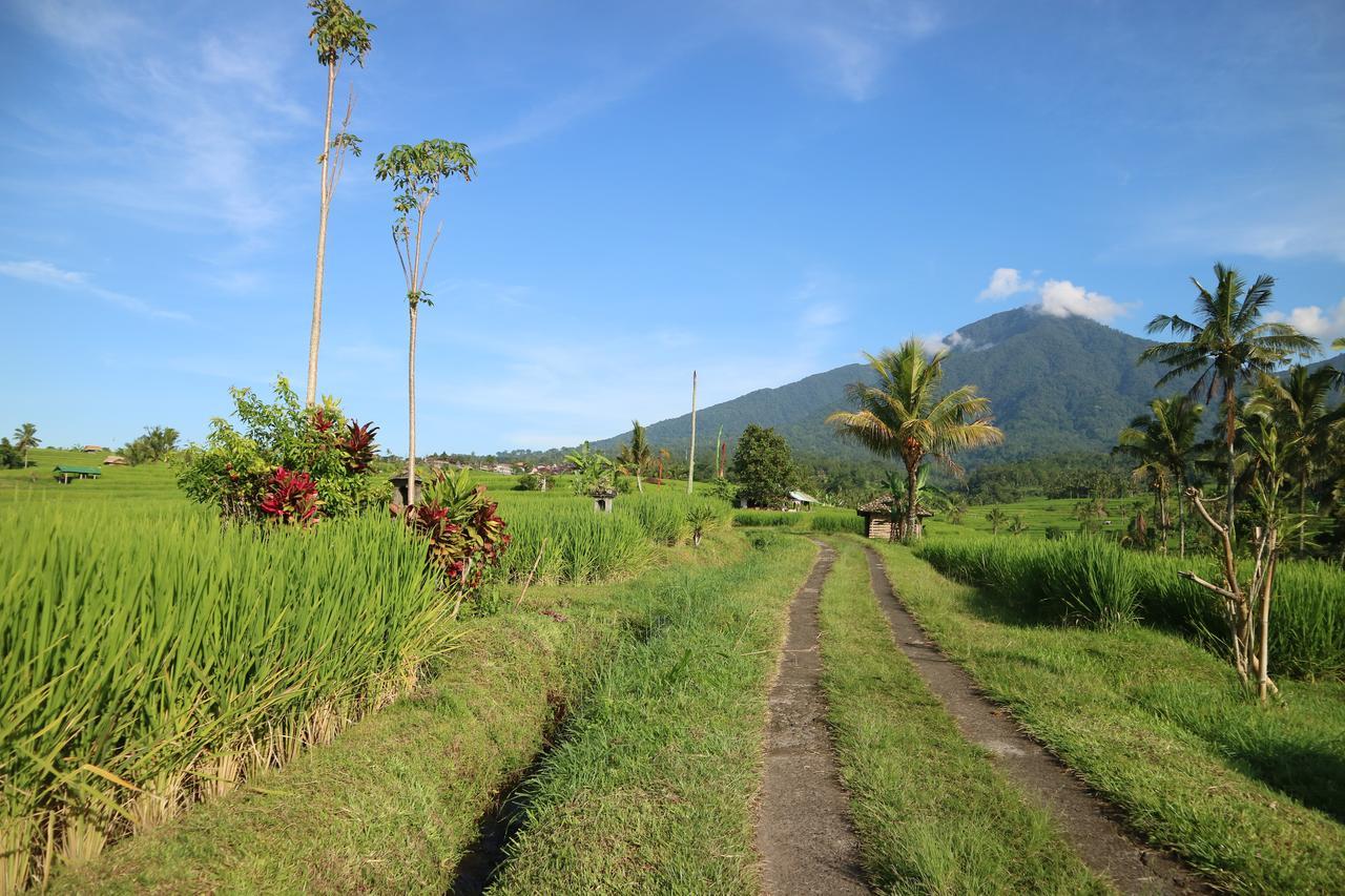 Sang Giri Mountain Tent Resort By Ahm Desa Desa Jatiluwih Exteriör bild