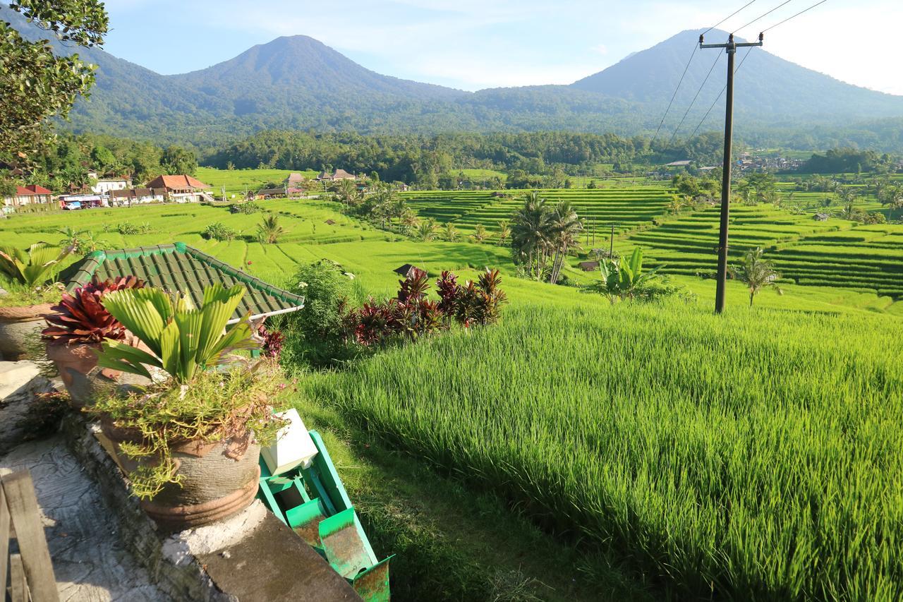 Sang Giri Mountain Tent Resort By Ahm Desa Desa Jatiluwih Exteriör bild