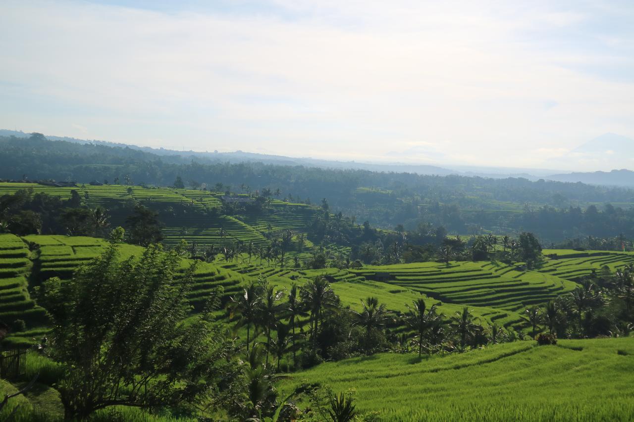 Sang Giri Mountain Tent Resort By Ahm Desa Desa Jatiluwih Exteriör bild